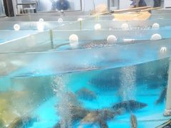 -耕渔小院·湖南鱼鲜(望城店)