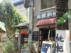 -两棵枇杷树