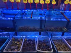 -老家黄墩小错鸡·活海鲜