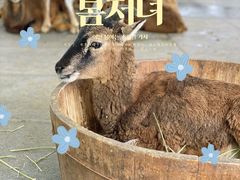 -乐和乐都主题乐园