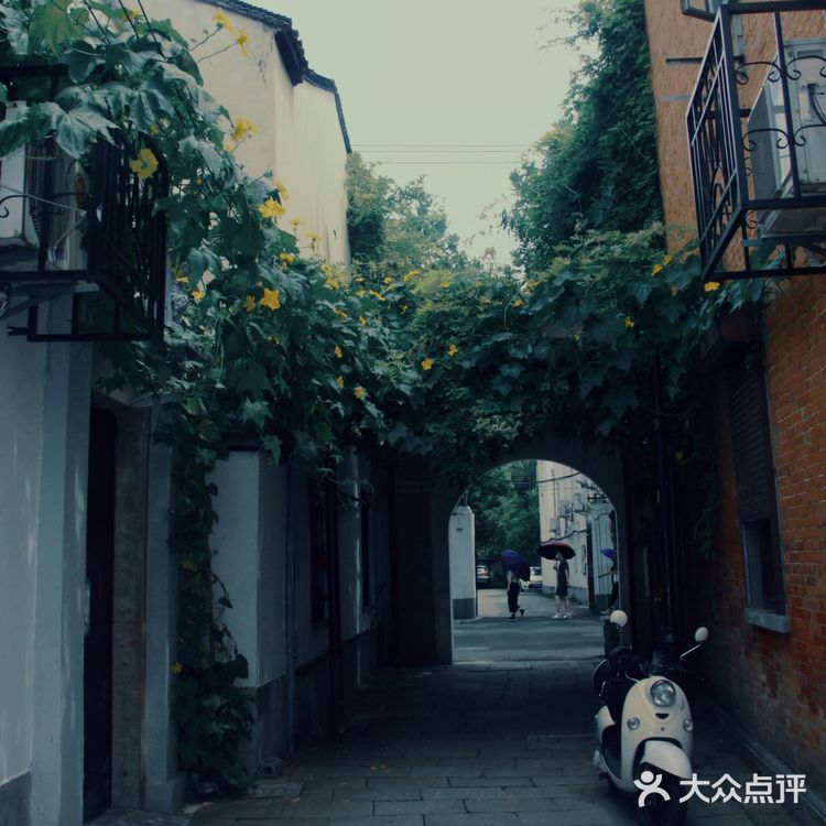 同德里|电视剧《都挺好》取景地