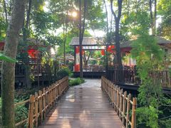 -二荆条·蜀鲜汇城市森林火锅