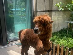 -济南喜来登酒店