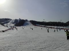 -东北亚滑雪场