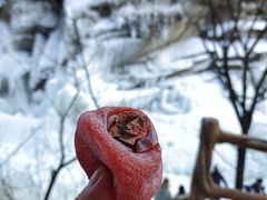 -黑龙潭风景区