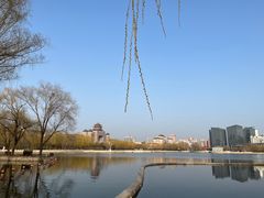 -莲花池公园