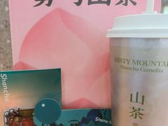 -雾与山茶(大禹城店)