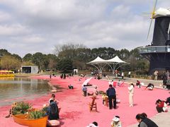 -上海鲜花港