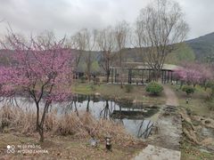 -石塘人家