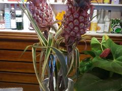 -嘉喜来比萨(罗马花园店)