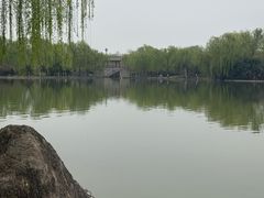 -洛阳市隋唐城遗址植物园