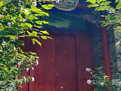 -阳台山自然风景区