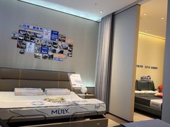-红星美凯龙北京至尊MALL(东四环中路店)