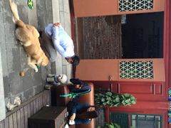 百好乐比萨-百好乐宠物友好餐厅(朝外大街店)