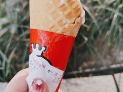 -蜜雪冰城(观音桥步行街店)
