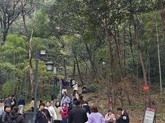 -灵顺寺