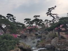 -罗红摄影艺术馆