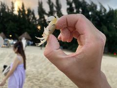 -海南清水湾莱佛士酒店