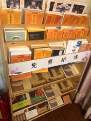 -寇氏减肥