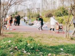 -两河城市森林公园