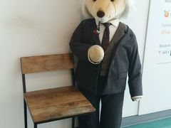 -济州岛泰迪熊博物馆