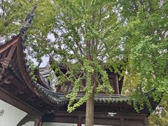 -汇龙潭