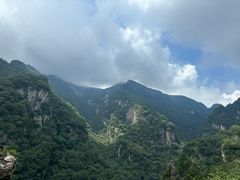 -牛背梁国家森林公园