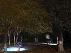 -国色天乡三期陆地乐园