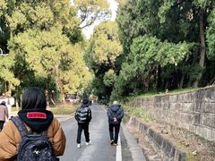 -七曲山风景区
