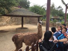 -泉州海丝野生动物世界