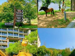 -宁波九龙湖开元度假村