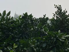 -前小桔亲子创意农场·草莓采摘·露营烧烤