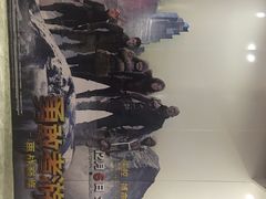 -红星电影世界上海张江绿地店