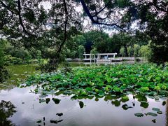 -人民公园(罗湖区)