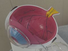 -武汉大学附属爱尔眼科医院(湖北总院)