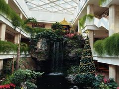 -广州白天鹅宾馆