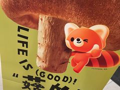 -芸山季·云南野生菌火锅(人民广场来福士店)