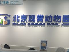 -北京观赏动物医院·24小时大型综合·猫专科·异宠专科