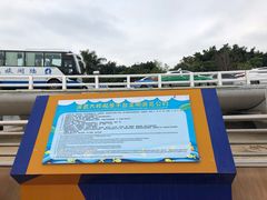 -演武大桥观景平台