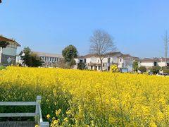 -桤木河湿地公园