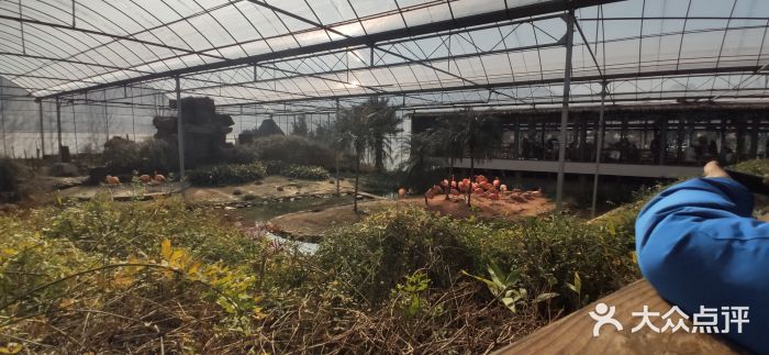 无锡动物园·太湖欢乐园图片