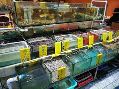 水产区-海大大蒸汽海鲜餐厅·粤菜·特色小炒(欢乐颂店)