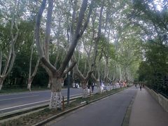 -应天大明王朝·南京菜创始店(中山陵店)