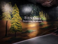 -安徽省地质博物馆