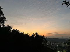 -梧桐山风景名胜区