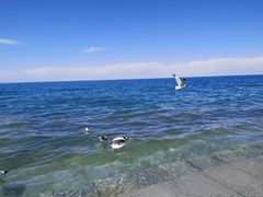 -青海湖二郎剑景区
