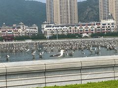 -星海广场