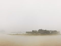 -串妹花式冰粉(乐山总店)