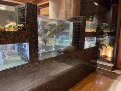 -许家菜(望江店)