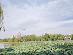 -武汉园博园(武汉自然博物馆)